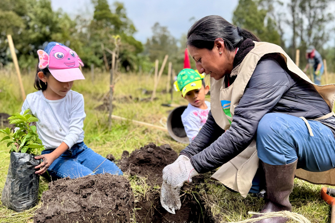 Equipo de Bupa sembrando árboles