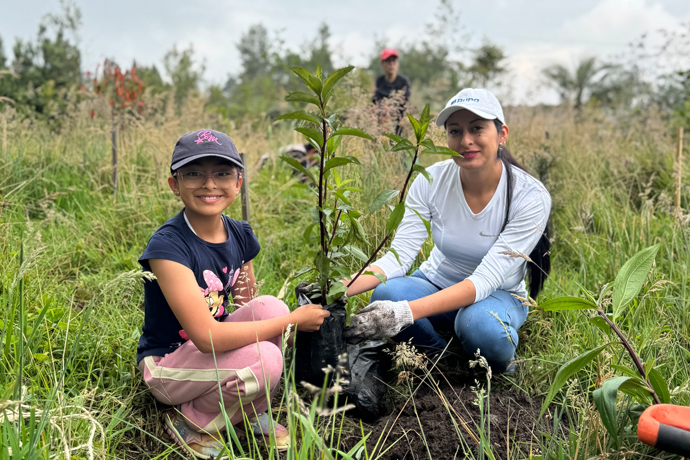 Equipo de Bupa sembrando árboles