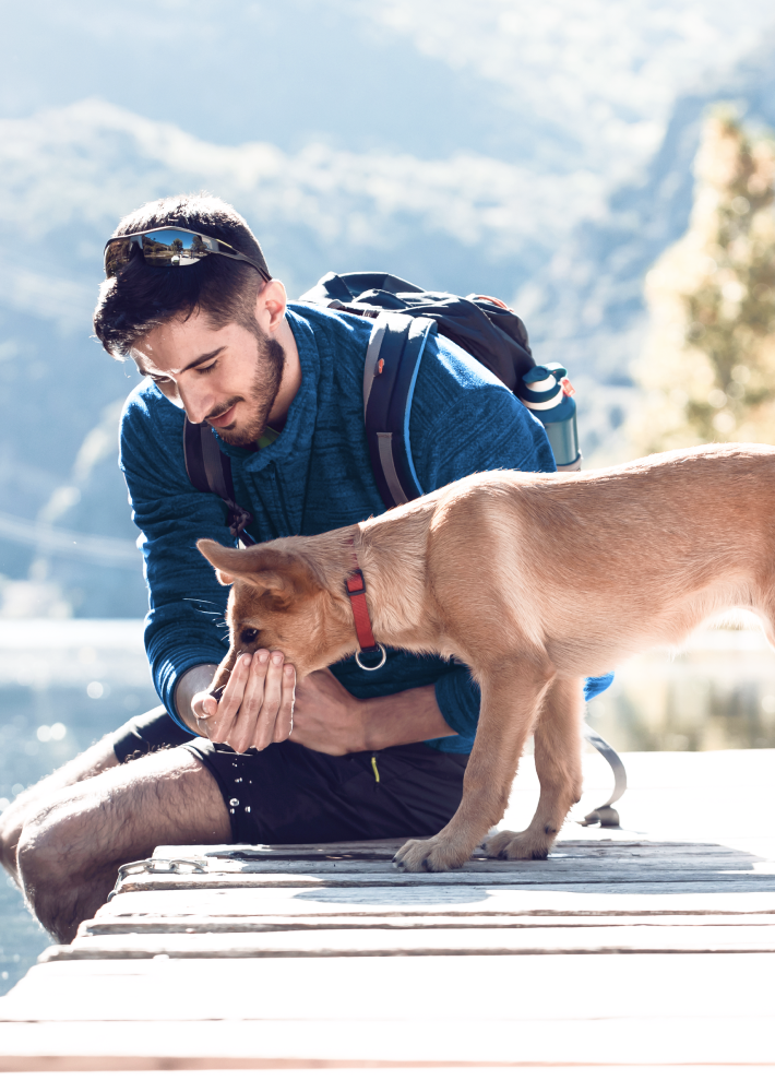 Hombre alimentando a su mascota.