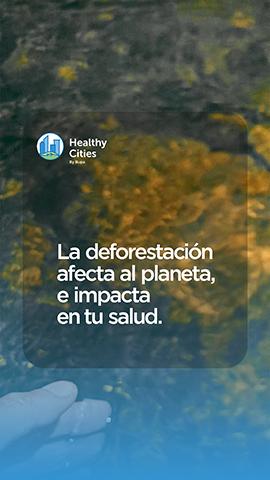 Día ambiente