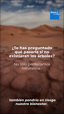 Siembra de árboles