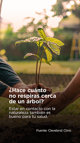 Healthy cities